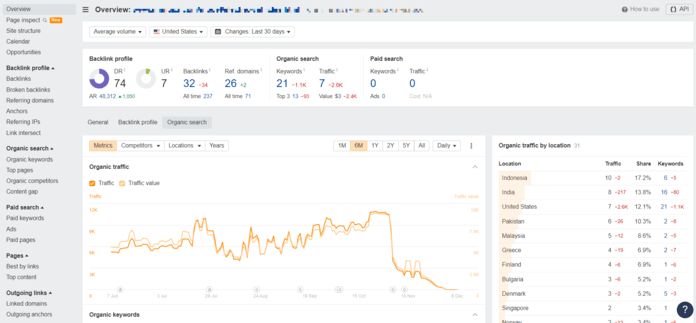 Ahrefs dashboard showing traffic results